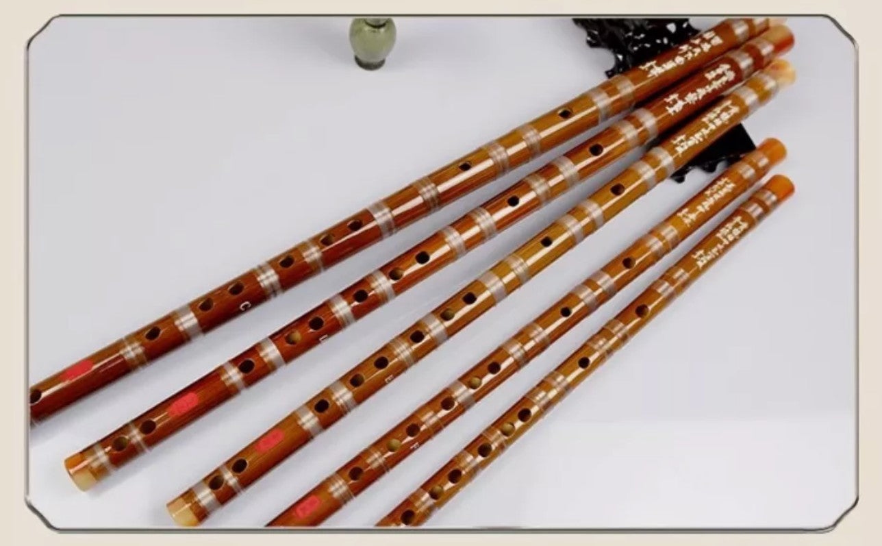 Professional 5pcs set Bamboo Dizi Flute Traditional Flute Musical Instruments AU