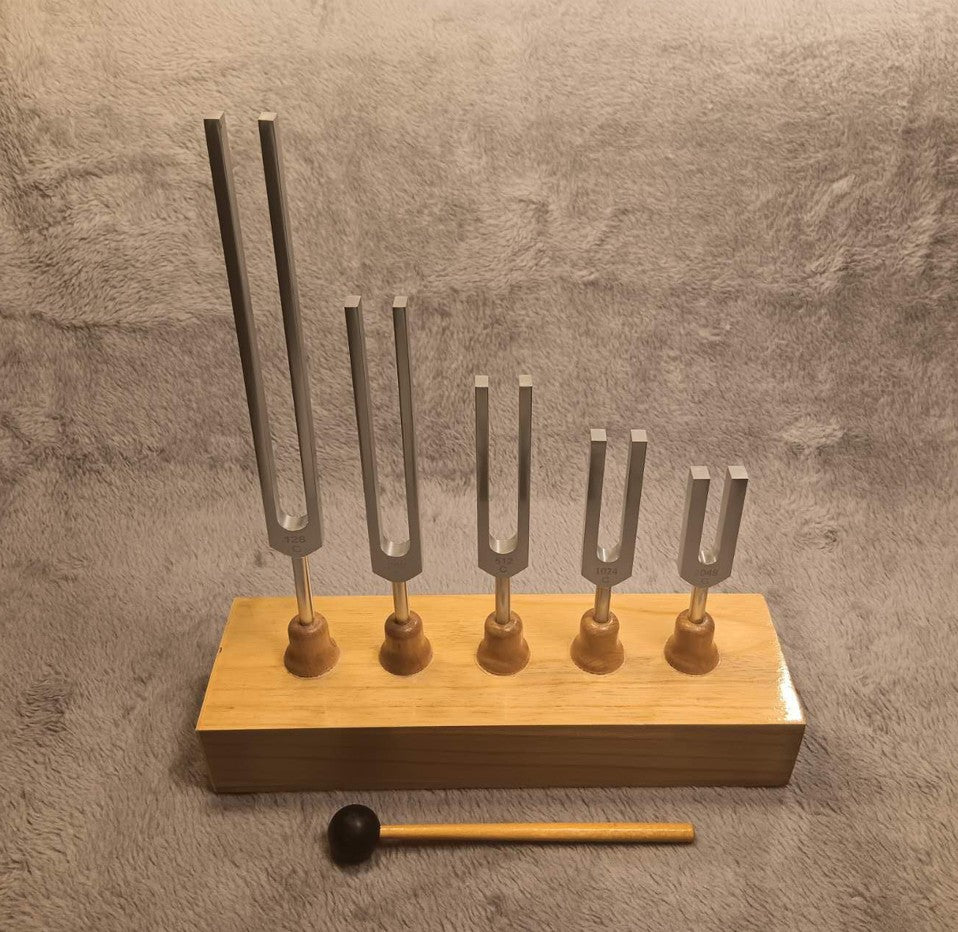 Tuning Fork 128hz/256hz/512hz/1024hz/2048hz Resonator box Sound Healing Musical
