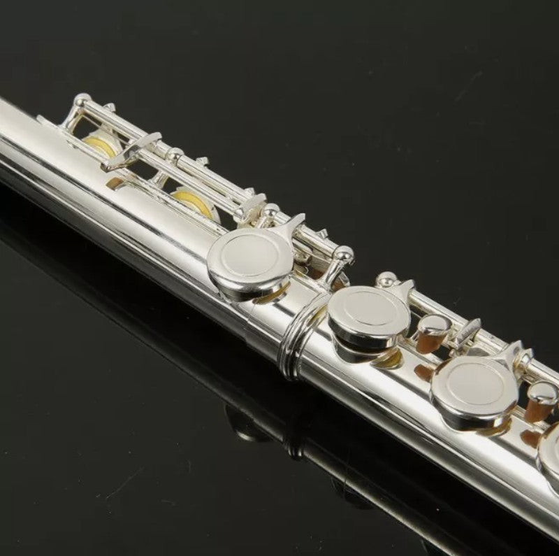 16 Holes Closed Hole Flute Cupronickel Woodwind Instrument Concert School AU