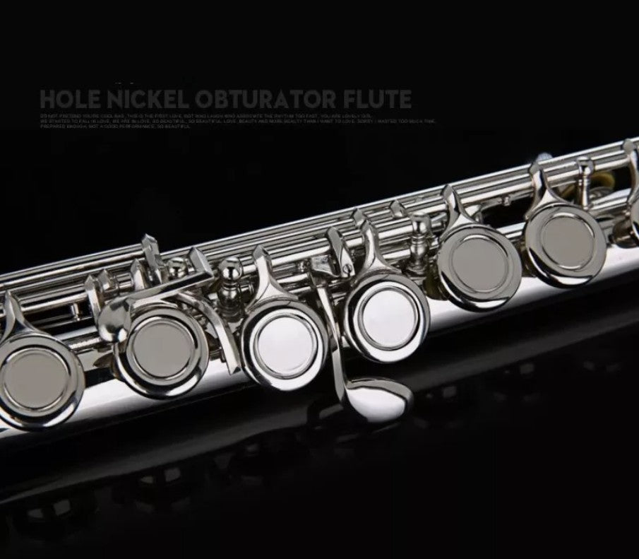 16 Holes Closed Hole Flute Cupronickel Woodwind Instrument Concert School AU