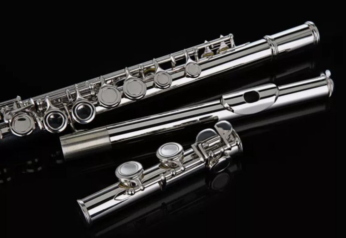 16 Holes Closed Hole Flute Cupronickel Woodwind Instrument Concert School AU