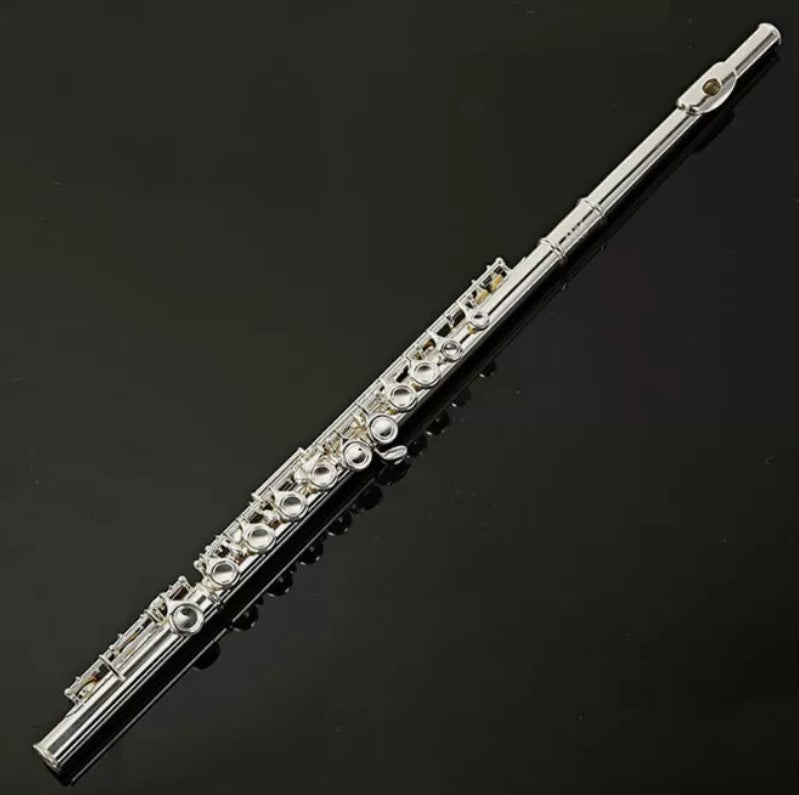 16 Holes Closed Hole Flute Cupronickel Woodwind Instrument Concert School AU