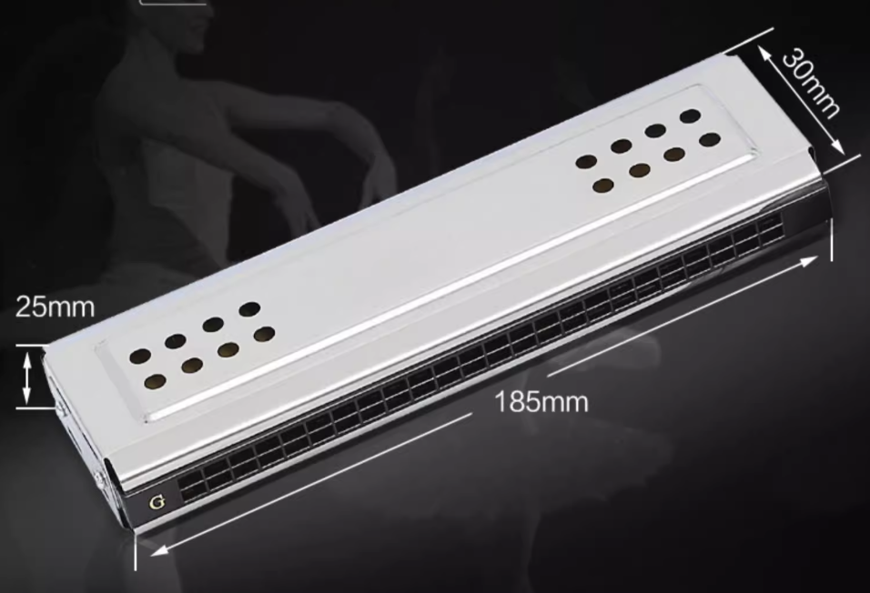24-Hole Double-Sided Tremolo Harmonica Dual Key C/G Blues Classical Instrument