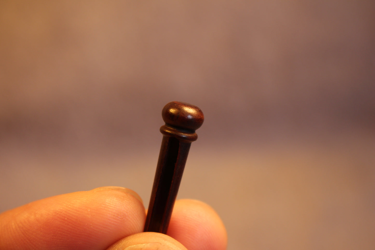 Cocobolo Guitar String Nails Bridge Pins Set Enhanced Sound Quality Accessories