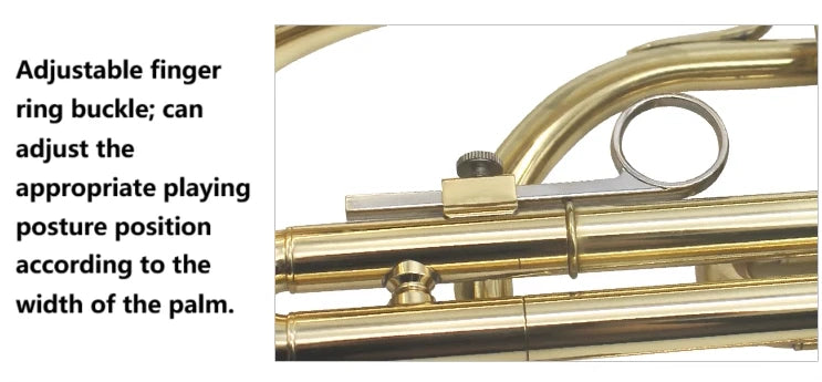Professional Bb Flat Cornet Brass Instrument Silver-Plated Mouthpiece with Carry