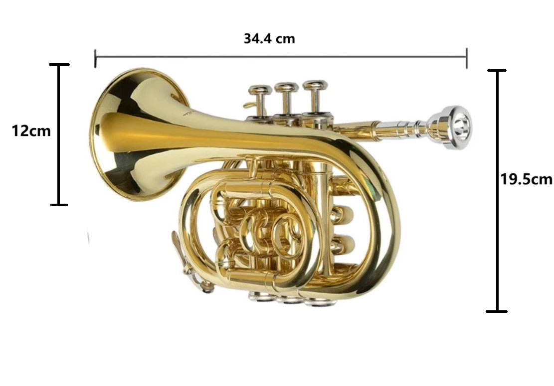 Professional Bb Flat Cornet Brass Instrument Silver-Plated Mouthpiece with Carry