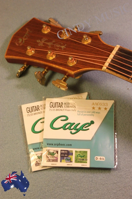 2PCS Brand New Acoustic Guitar Strings D-4