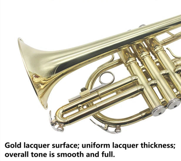 Professional Bb Flat Cornet Brass Instrument Silver-Plated Mouthpiece with Carry