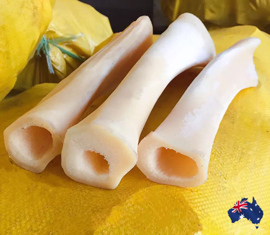 1PC Acoustic Guitar Bridge Nut bone DIY instrument material Bass UkuleLe Banjo