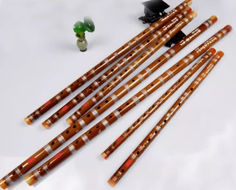 Professional 5pcs set Bamboo Dizi Flute Traditional Flute Musical Instruments AU