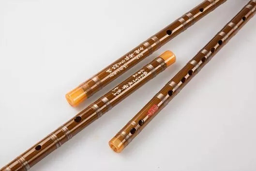 Professional 5pcs set Bamboo Dizi Flute Traditional Flute Musical Instruments AU