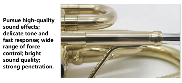 Professional Bb Flat Cornet Brass Instrument Silver-Plated Mouthpiece with Carry