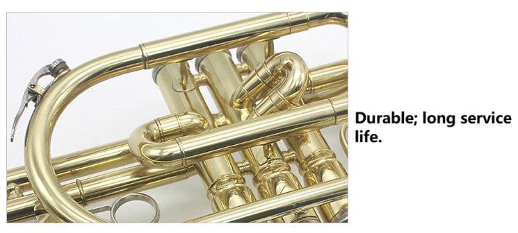 Professional Bb Flat Cornet Brass Instrument Silver-Plated Mouthpiece with Carry