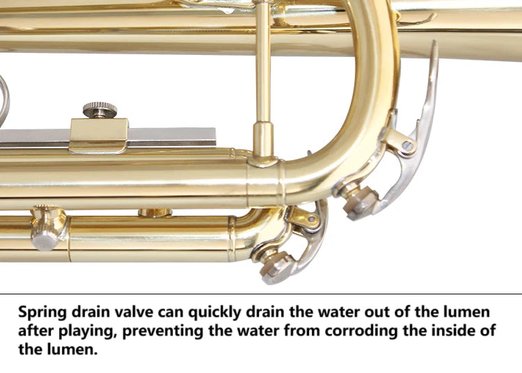 NEW TRUMPET Bb GOLD WITH CASE SCHOOL STUDENT BEST QUALITY Brass instruments AU