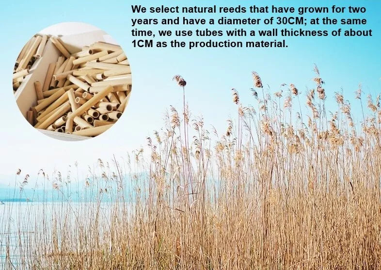 FM Tenor saxophone Reeds bB 10piece of packaging Wind Instrument 2.5 Strength AU