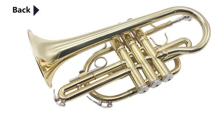 Professional Bb Flat Cornet Brass Instrument Silver-Plated Mouthpiece with Carry