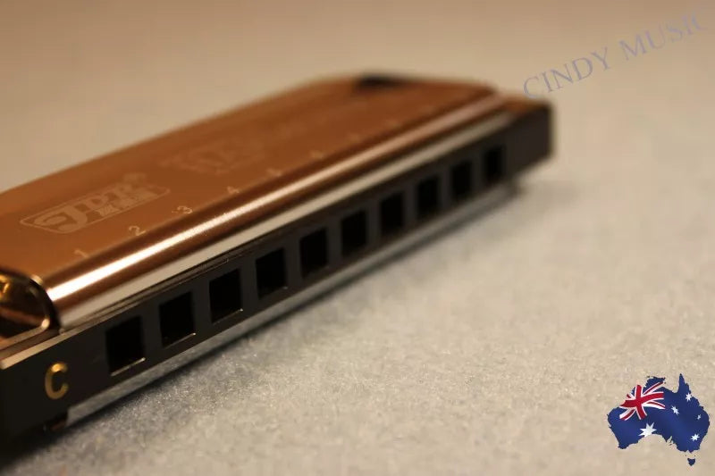 10Holes C Key Harmornica for Blues Rock Jazz Folk+Cloth+Case+Harmonica package