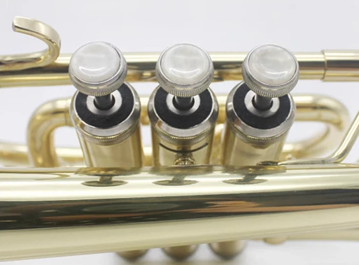 Professional Bb Flat Cornet Brass Instrument Silver-Plated Mouthpiece with Carry