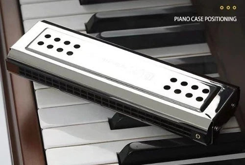 24-Hole Double-Sided Tremolo Harmonica Dual Key C/G Blues Classical Instrument