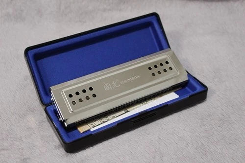 24-Hole Double-Sided Tremolo Harmonica Dual Key C/G Blues Classical Instrument